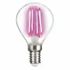LED-Leuchtmittel - pink - E14 - 4 Watt